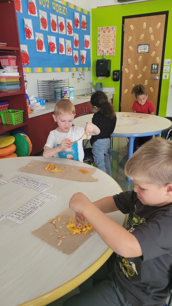 Students separating pumpkins seeds from the guts of the pumpkin
