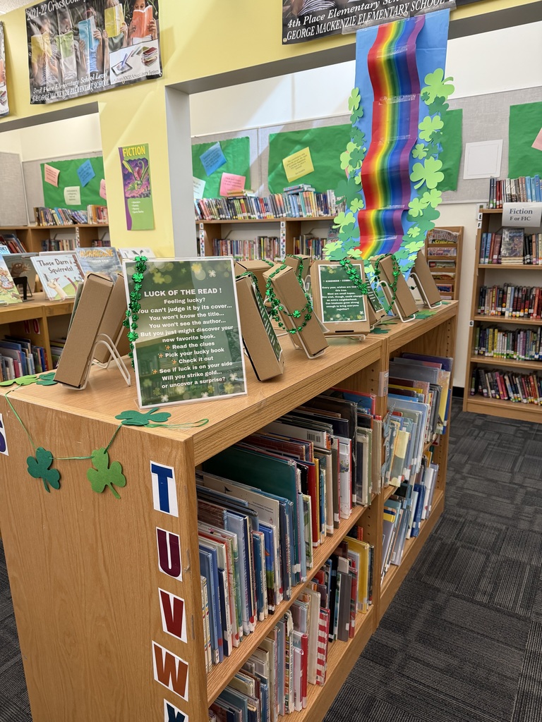 Image of a school library with "blind books" available to check out