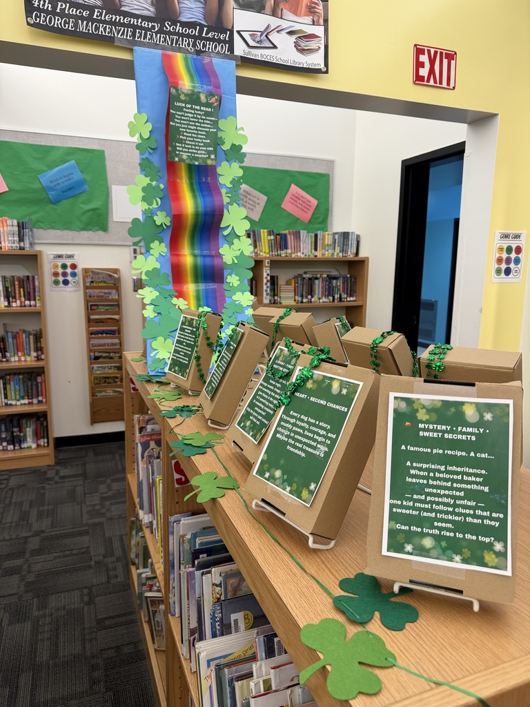 Image of a school library with "blind books" available to check out