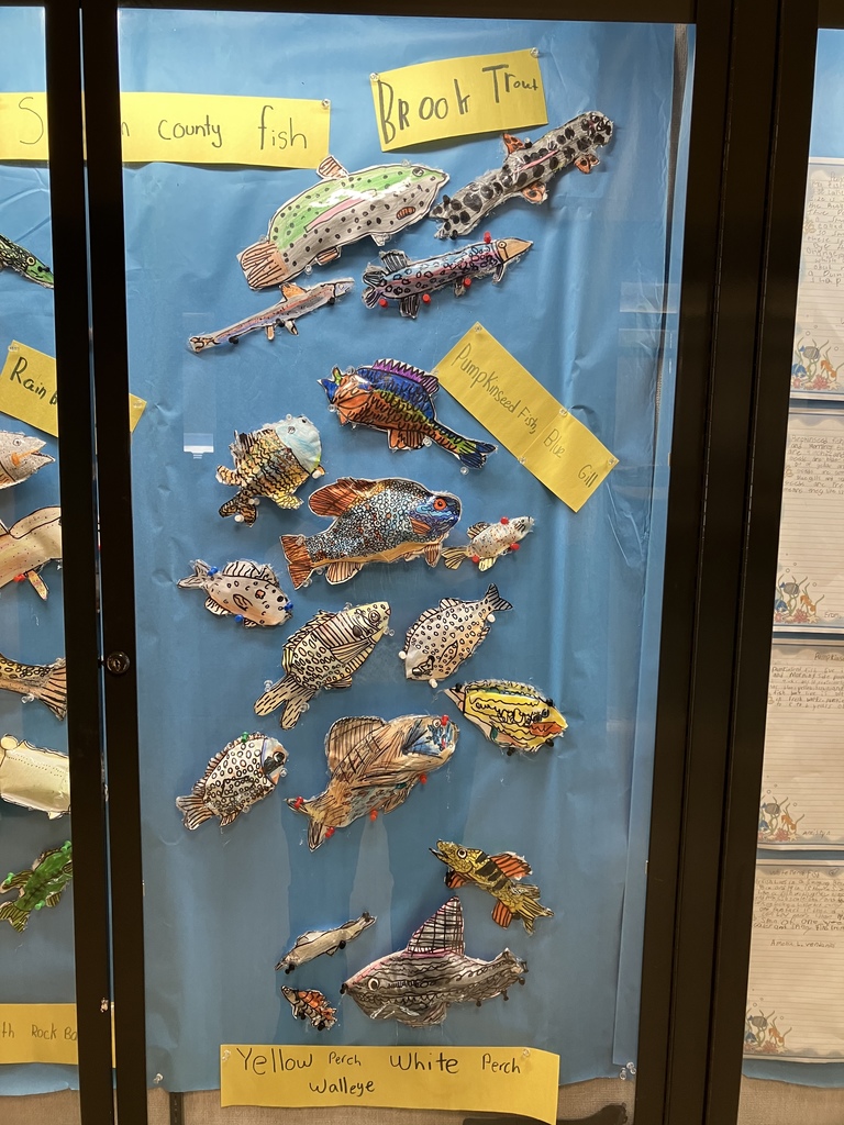 Art project made by 3rd grade students showing 3-D drawn fish that can be found in the waters of Sullivan County NY