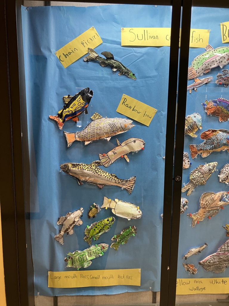 Art project made by 3rd grade students showing 3-D drawn fish that can be found in the waters of Sullivan County NY