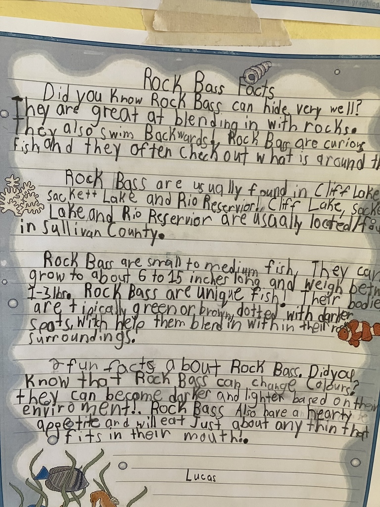 Image of a student's writing piece about the research they did on the fish of Sullivan County NY