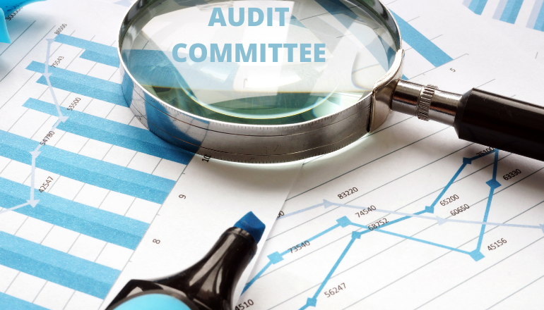 Audit Committee Pic