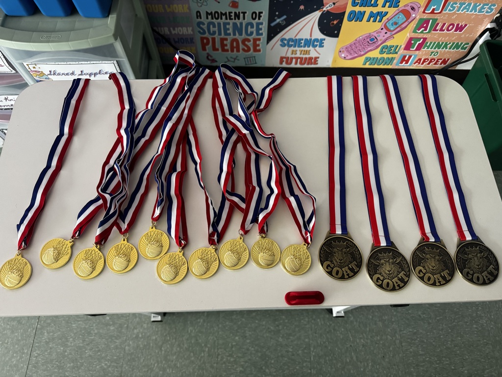 Image of medals given out to students for their participation in March Madness ELA & Math Challenge