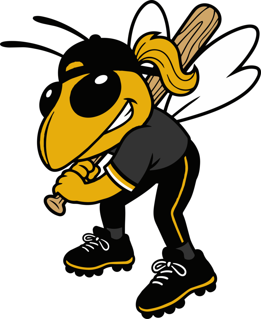 Go yellowjackets!