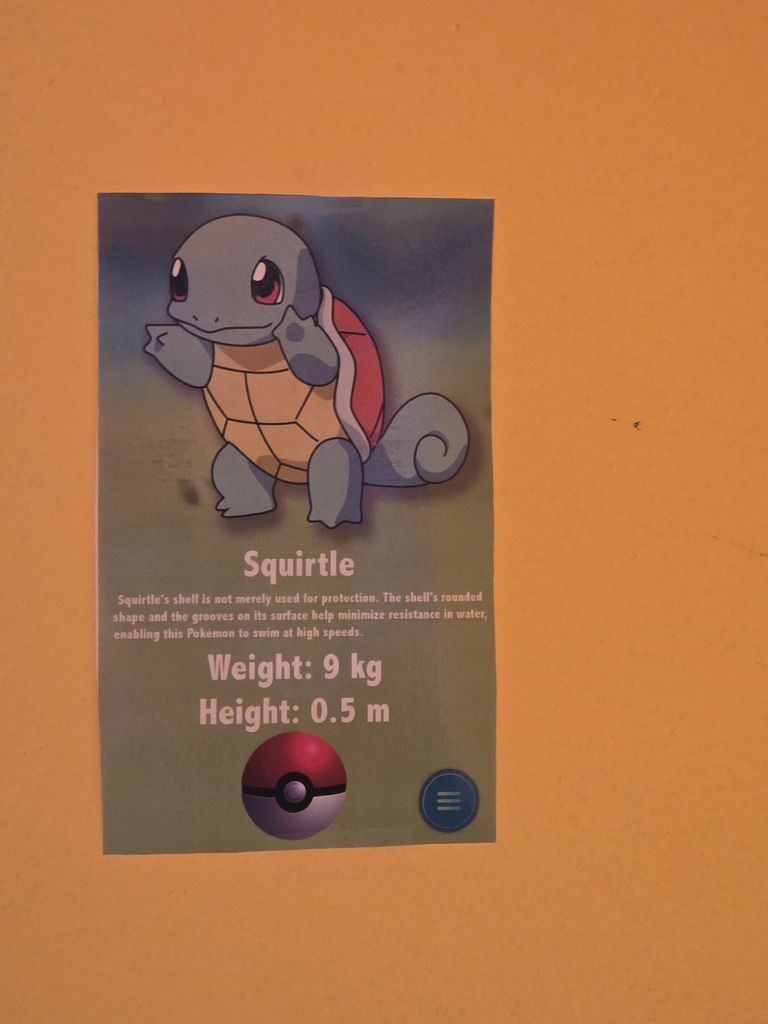 Image of the Pokemon, Squirtle, posted on an orange wall 