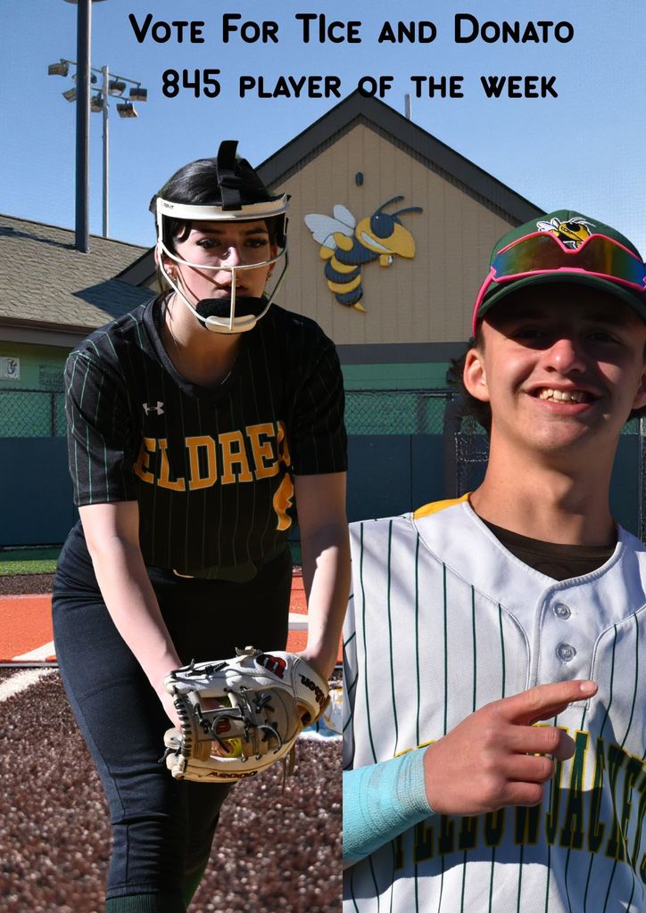 Go yellowjackets