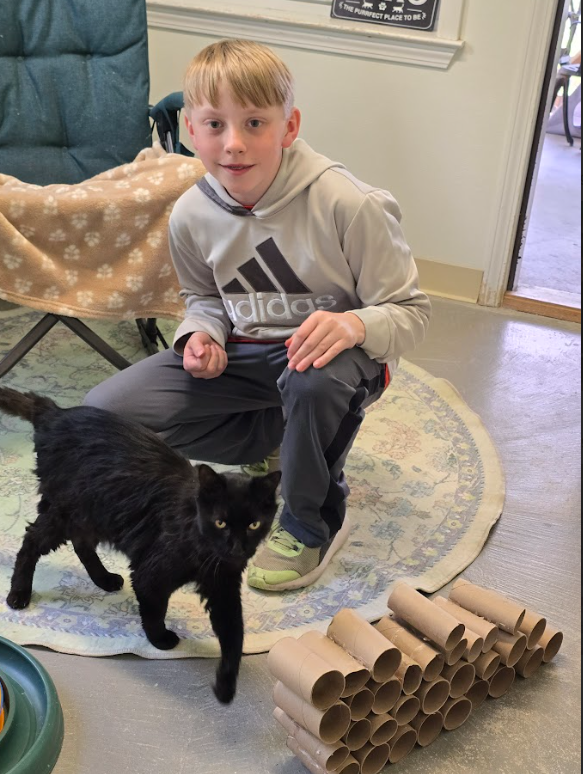 A student is shown with a black cat and an enrichment toy made of toilet paper rolls