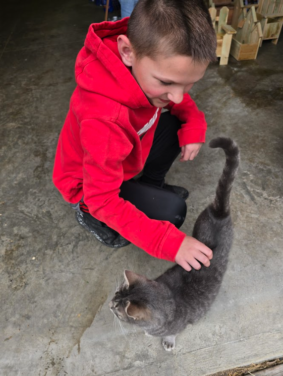 A student in a red sweatshirt pets a stripped cat