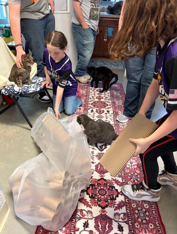 Students deliver the cat enrichment toys they made to the cats at the cat rescue