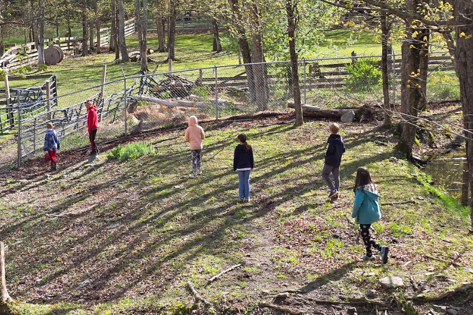 Image of students outside at an animal sanctuary