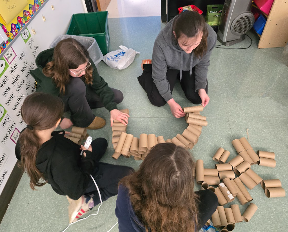 Students volunteer their time to create cat enrichment toys out of toilet paper rolls for an animal rescue