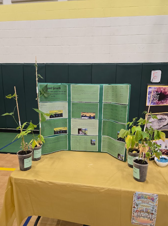 Image of a plant project on display at a STEAM fair