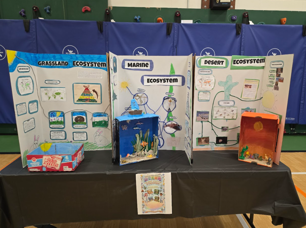 Image of ecosystem projects on display at a STEAM fair