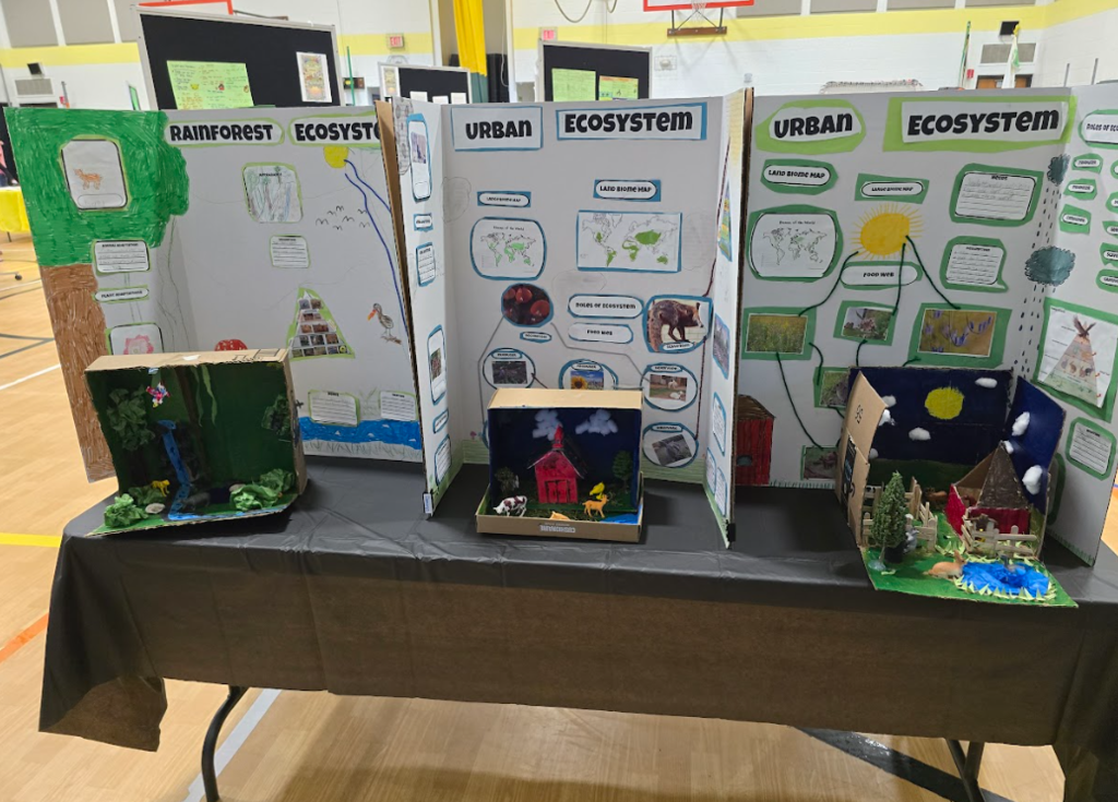 Image of ecosystem projects on display at a STEAM fair