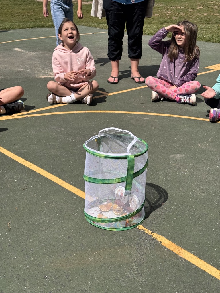 A mesh bag filled with butterflies is opened to release them into the wild as children watch the release with smiles on their face