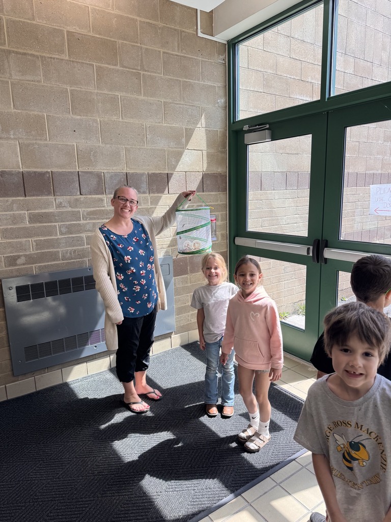 A teacher holds a mesh sleeve full of butterflies