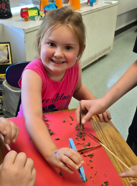 students dissect owl pellets 