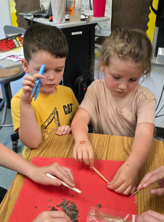 students dissect owl pellets 