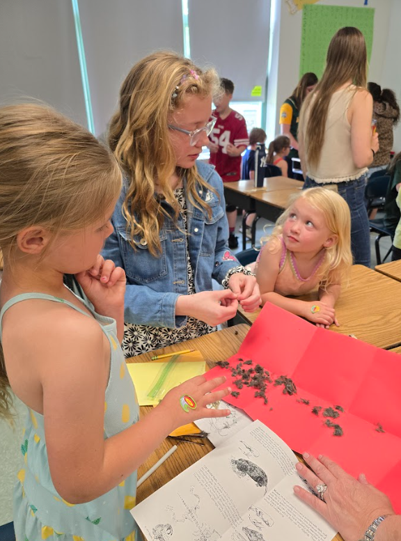 students dissect owl pellets 