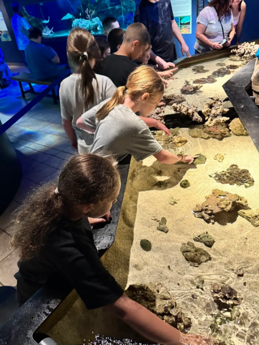 Image of students petting sea creatures in touch tank at the Aquarium