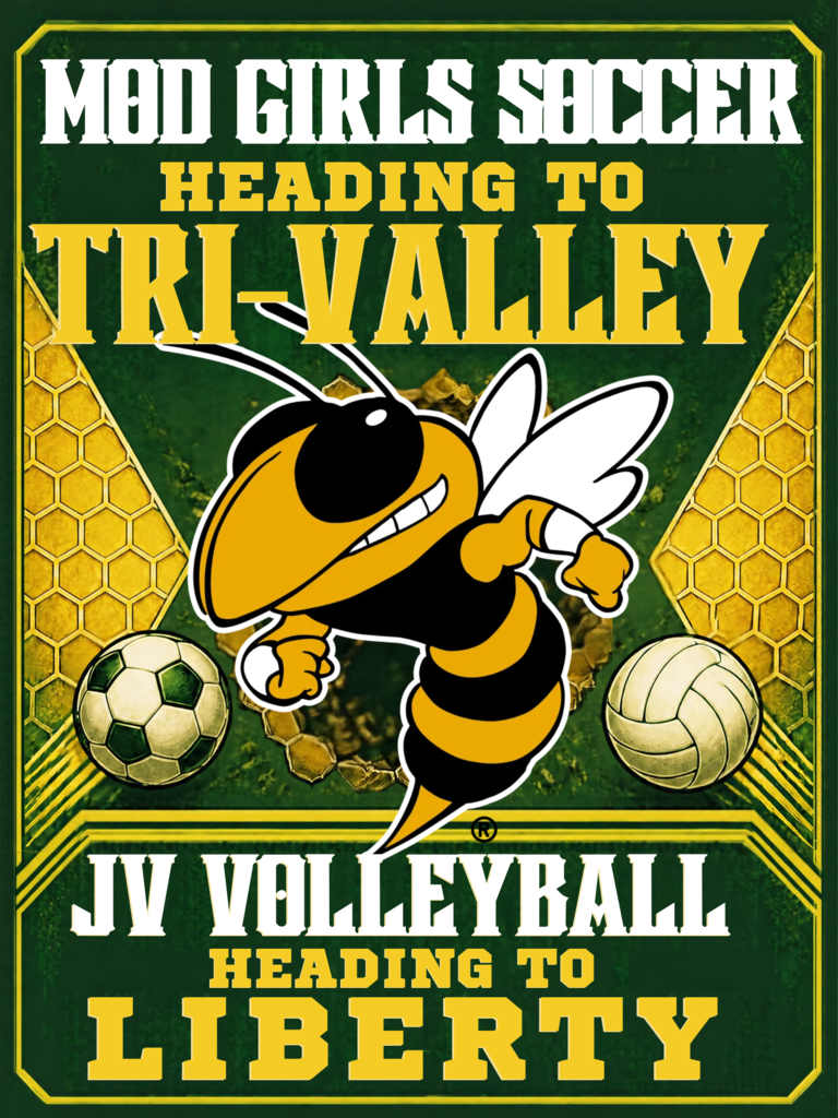 go yellowjackets