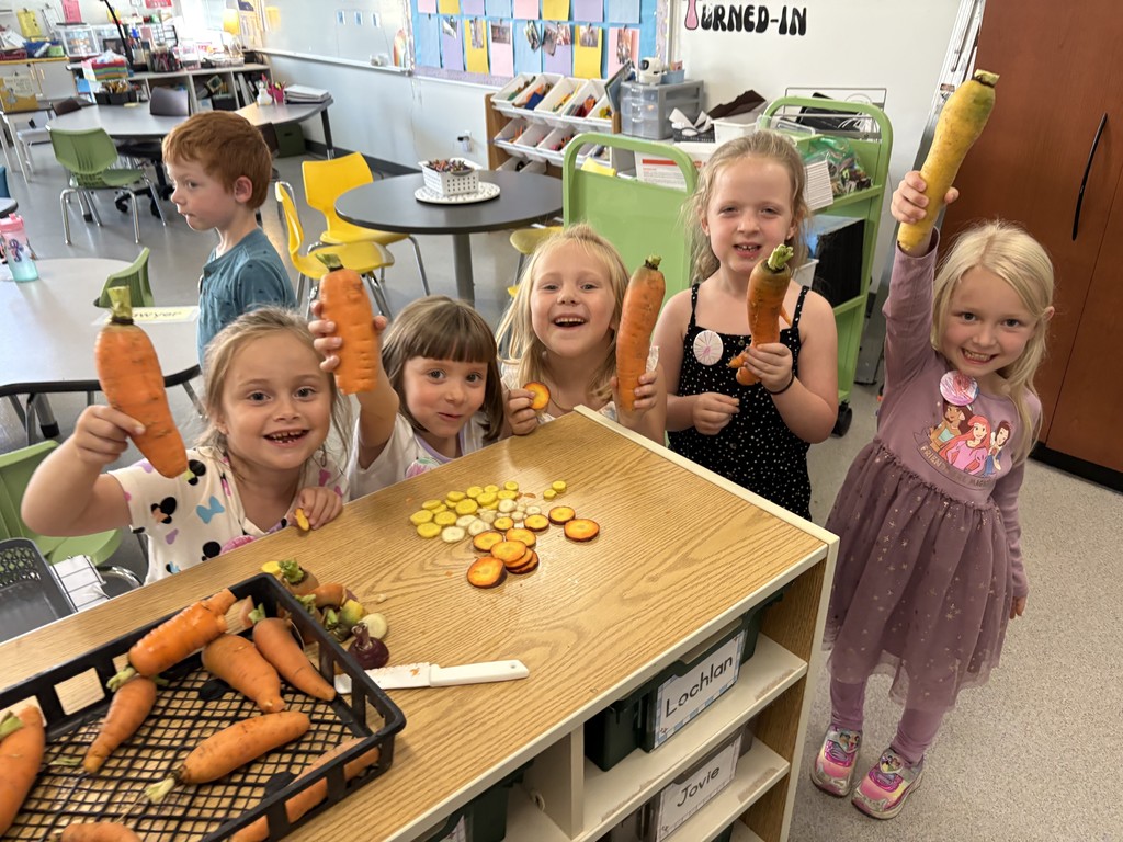 Fresh carrots straight from our school garden.