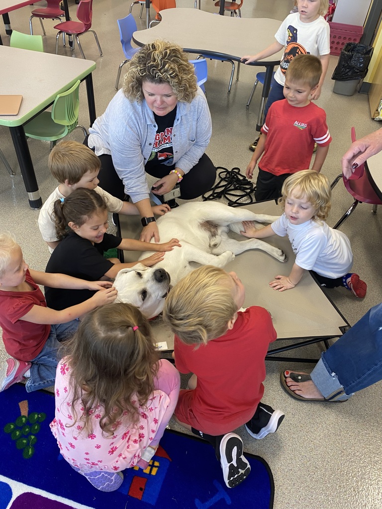 Mrs. Niesen’s class loved their special visitor, Bjorn, during guidance time!
