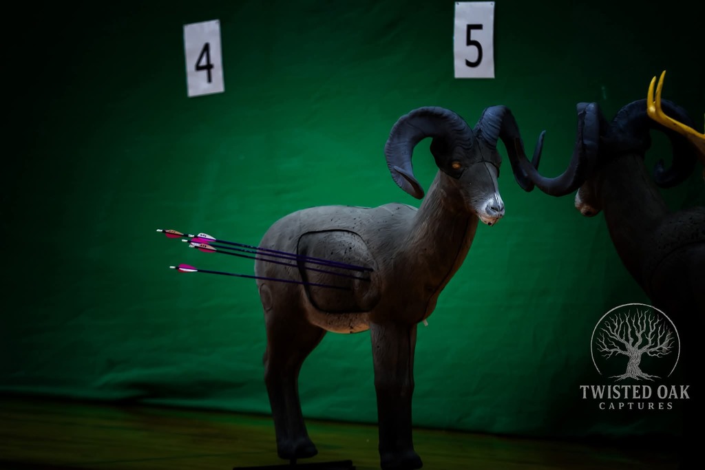 On March 14th, the Eleva-Strum Archery Team, in partnership with the Osseo-Fairchild Archery Team, hosted their 1st Annual Archery Tournament!