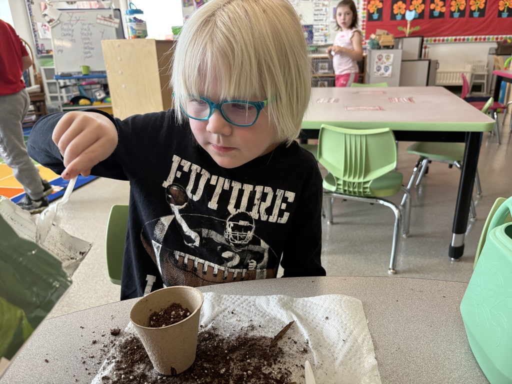 As part of their plant unit, Mrs Niesen’s 4K students planted seeds and learned about the life cycle of a plant.