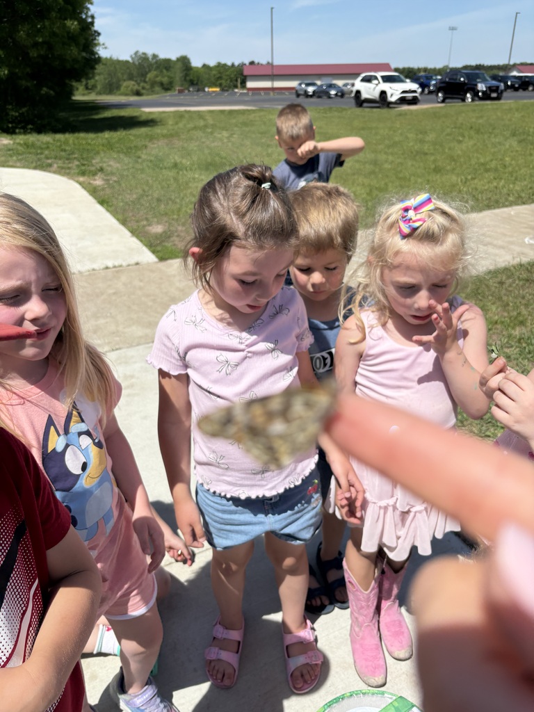 As the school year came to a close, Mrs. Niesen’s 4K class got a special surprise when their butterflies emerged from their chrysalises!