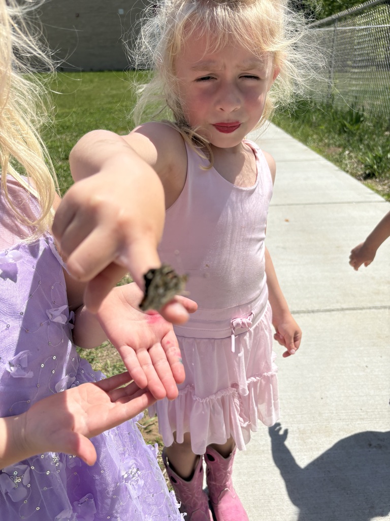 As the school year came to a close, Mrs. Niesen’s 4K class got a special surprise when their butterflies emerged from their chrysalises!