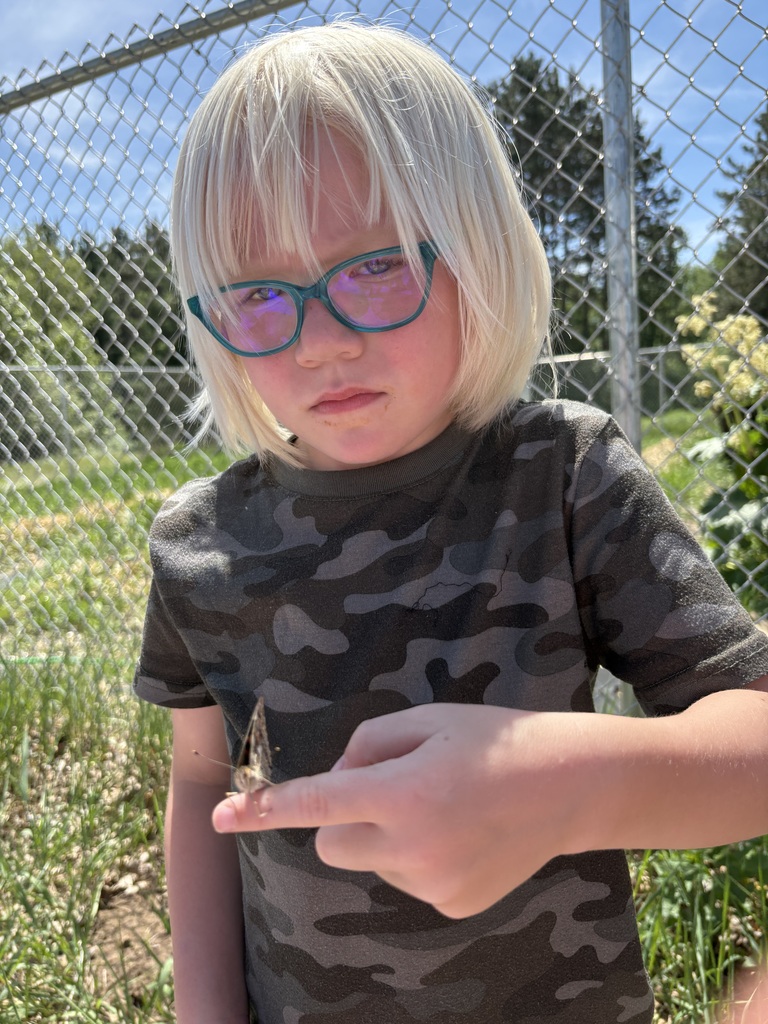 As the school year came to a close, Mrs. Niesen’s 4K class got a special surprise when their butterflies emerged from their chrysalises!