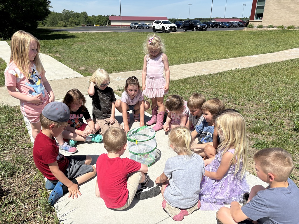 As the school year came to a close, Mrs. Niesen’s 4K class got a special surprise when their butterflies emerged from their chrysalises!