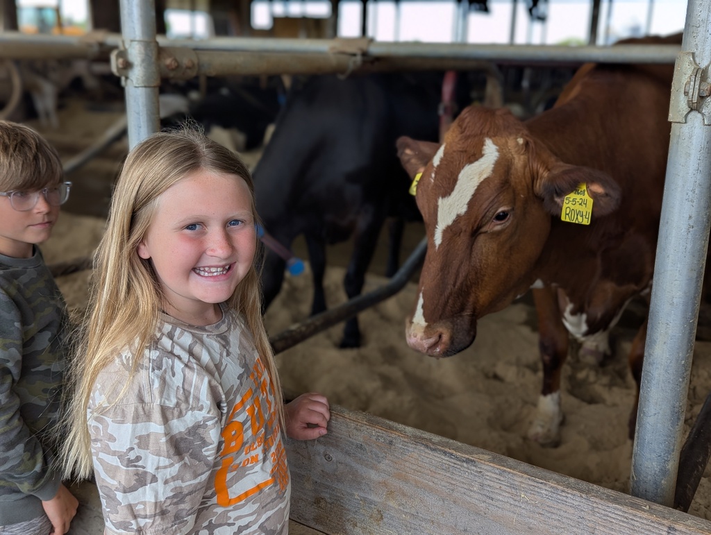 On the second day of  Rolling classroom,  the class  visited the Marieke Gouda farm in Thorp.  