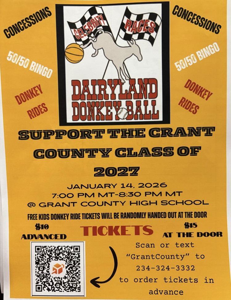 donkey basketball flyer