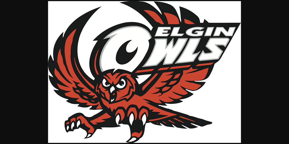 Elgin Public Schools