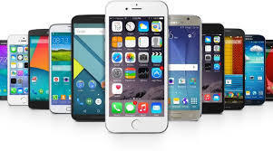 Cell Phone Policy