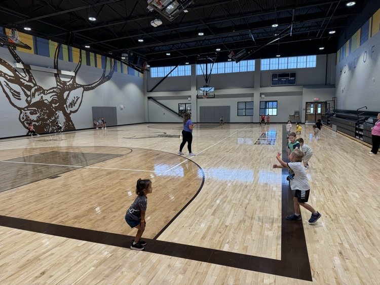 pe2
