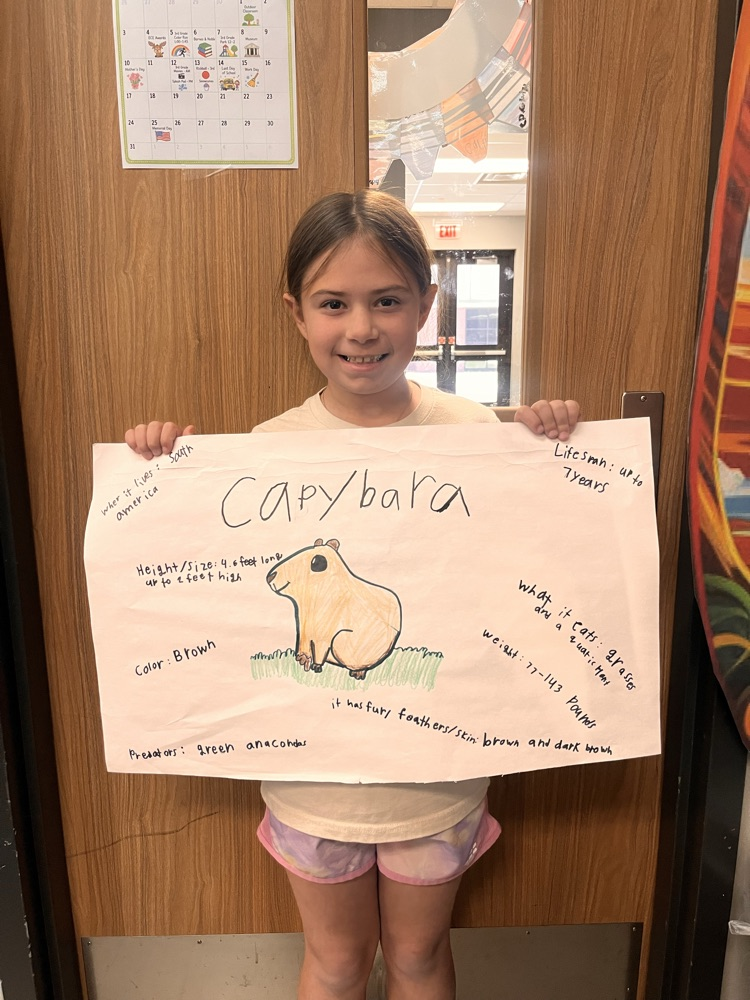 Capybarra