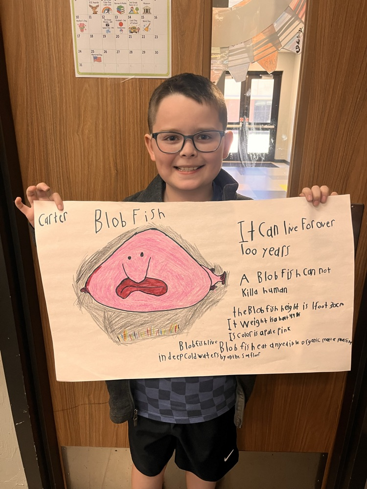Blob Fish