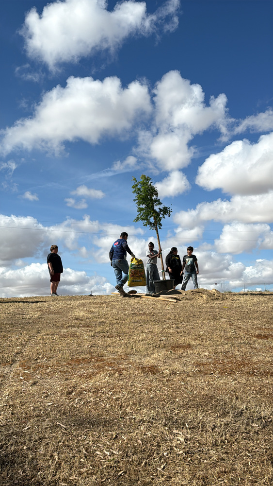 tree planting with CRC and the Kern Tree Foundation