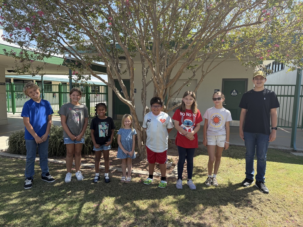 Students in front of a tree on campus
