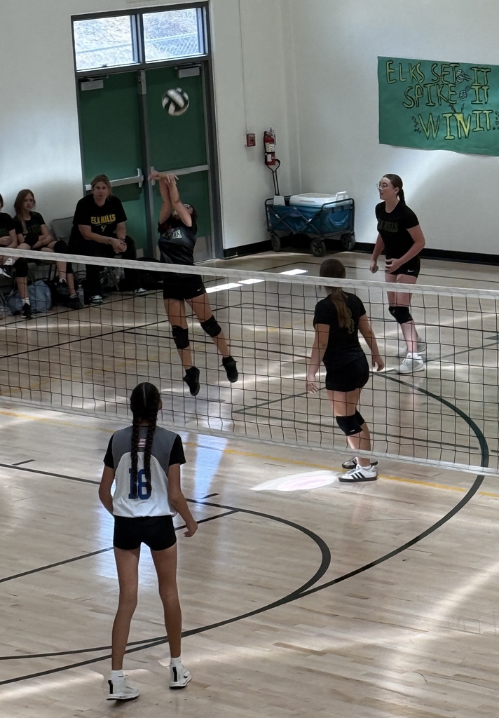 Volleyball Game