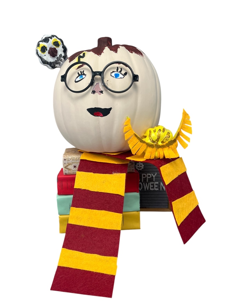 4th: Harry Potter