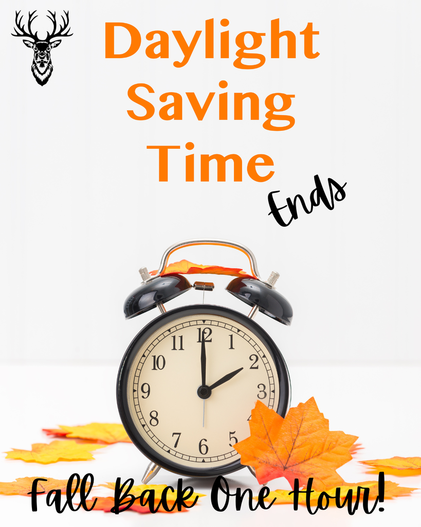 Daylight Saving Time Ends