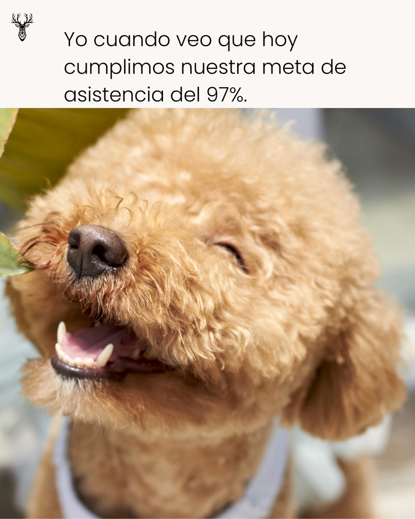 Yo cuando veo que hoy cumplimos nuestra meta de asistencia del 97%