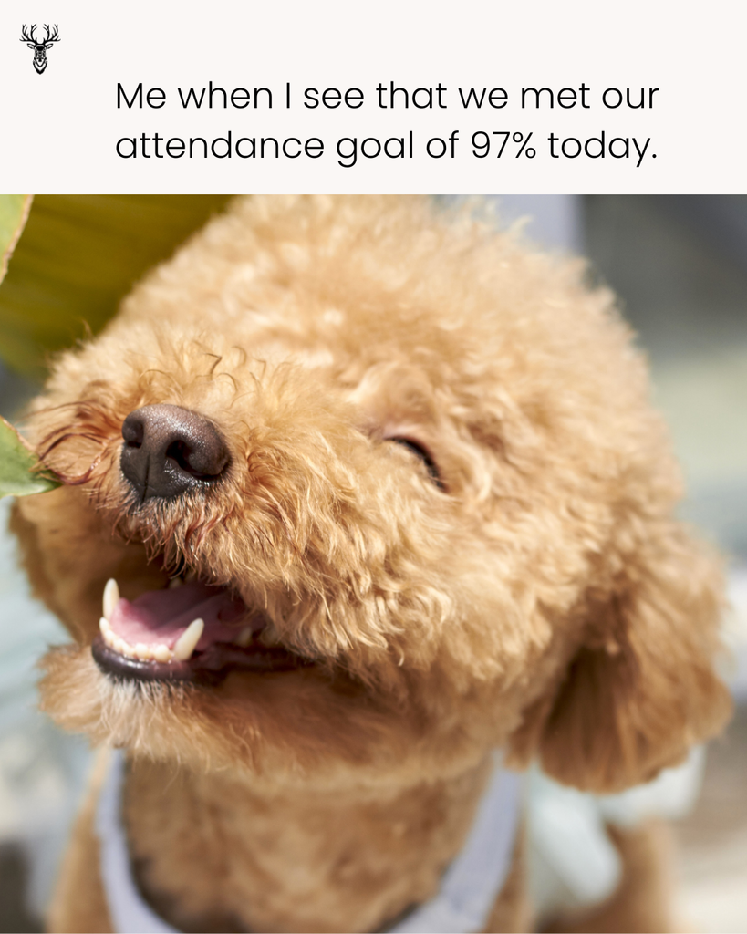 Me when I see that we met our 97% attendance goal today