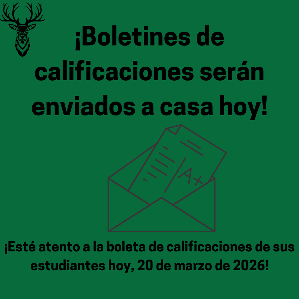 Report cards spanish