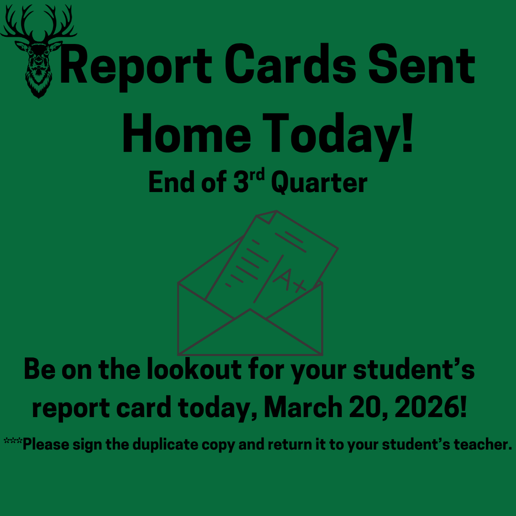 Report cards English